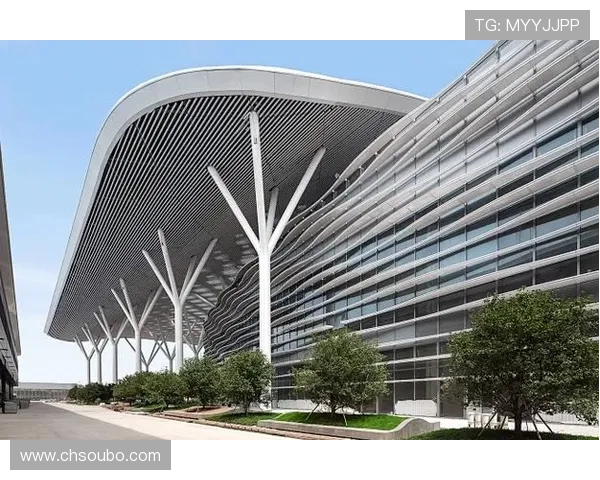 如何准确查询欧博代理官网入口网址确保安全登录与账号保护